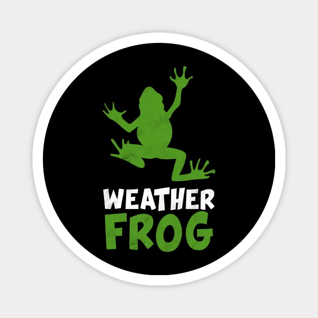 Weather Frog Magnet by Imutobi